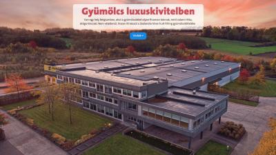 Z17_Thumb_08