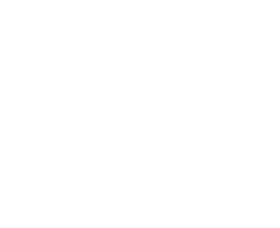 scaldi550